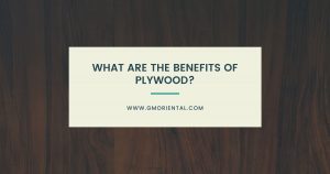 What are the Benefits of Plywood?